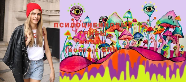 хмурый Алексеевка