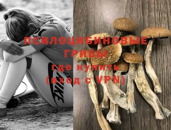 героин Алзамай