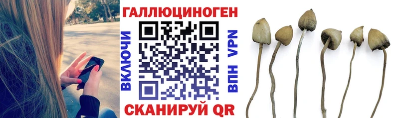 мориарти телеграм  Октябрьск  Псилоцибиновые грибы мицелий  наркота 